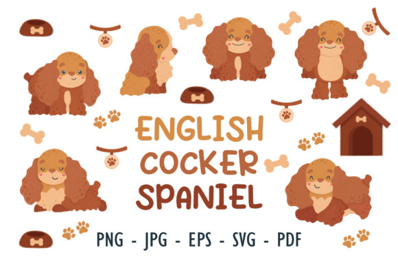 Cute English Cocker Spaniel Puppies Set