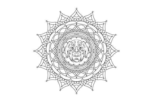 Golden Retriever Dog, Mandala - Close Up