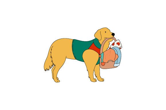 Labrador Wearing Service Dog Jacket Carrying Unloading Laundry